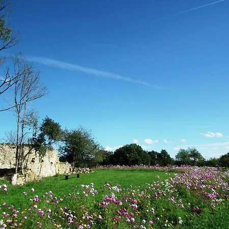 Domaene Mit Jacuzzi By Interhome 別荘 *