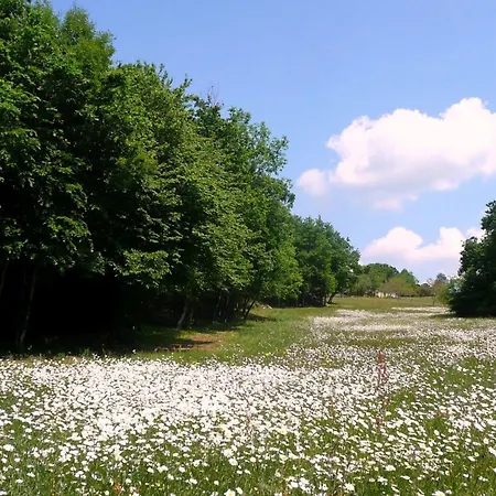 Domaene Mit Jacuzzi By Interhome 別荘 Gavaudun