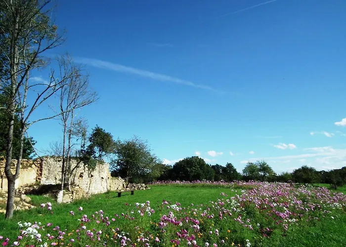 Domaene Mit Jacuzzi By Interhome 別荘 *