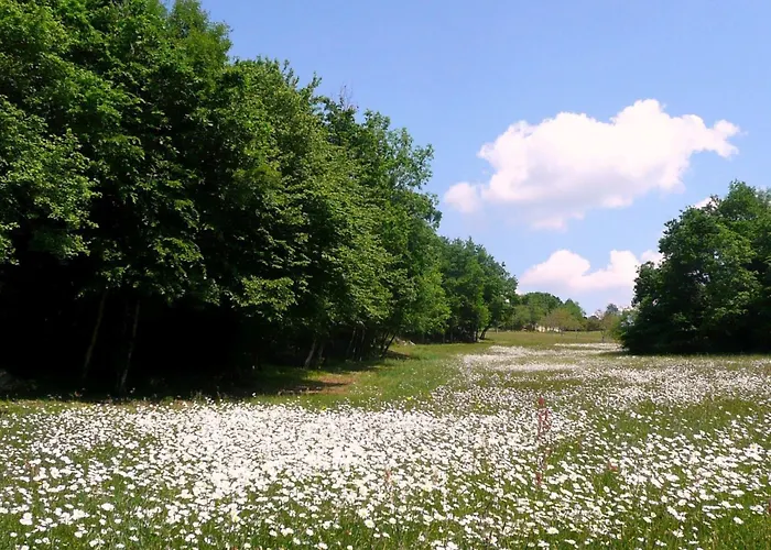 Domaene Mit Jacuzzi By Interhome 別荘 Gavaudun